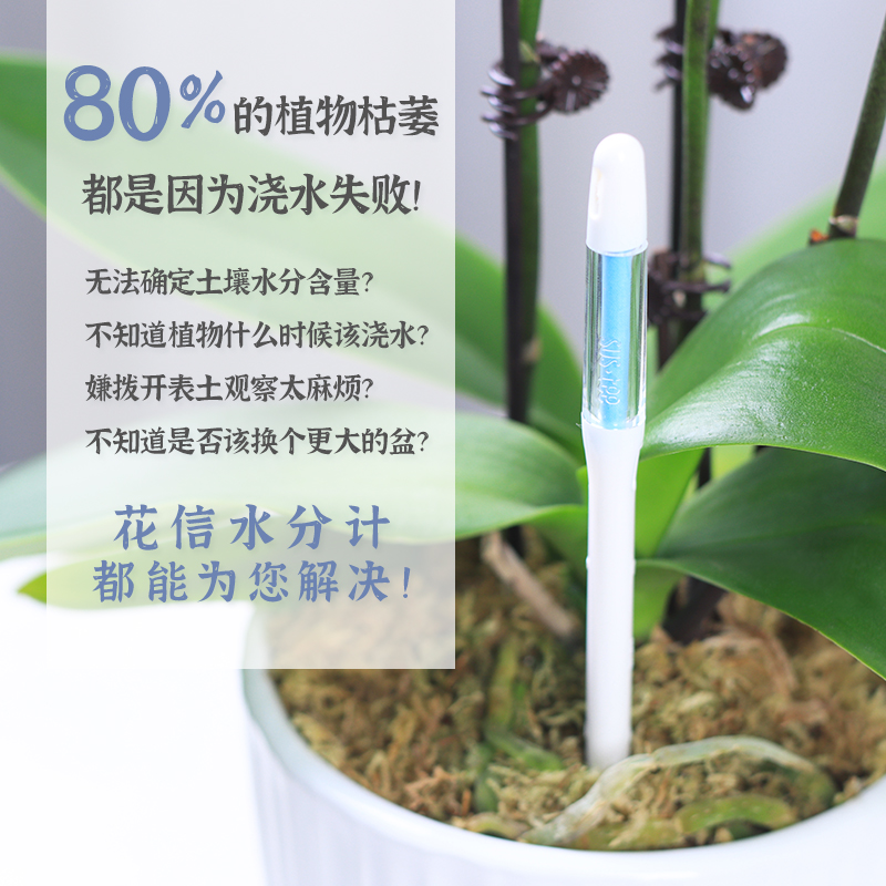 花信水分计日本进口SUSTEE花草土壤湿度检测仪植物湿度缺水提醒仪