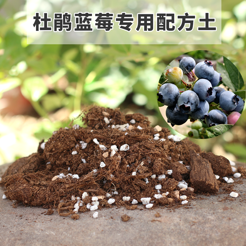 蓝莓专用土酸性种植营养土壤杜鹃栀子花山茶三角梅茉莉花米兰绣球
