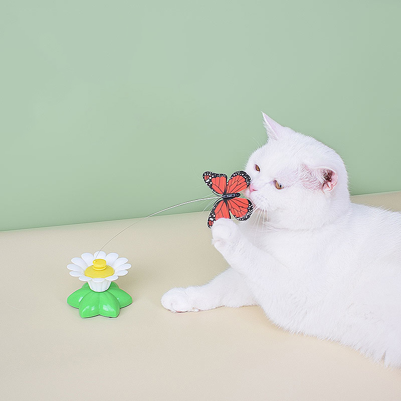 猫咪玩具蝴蝶飞飞自嗨解闷自动逗猫器棒猫的玩具猫猫电动转盘用品