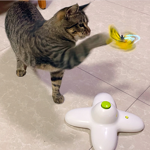 猫玩具自嗨解闷逗猫棒蝴蝶飞飞电动自动逗猫器小猫咪消耗体力用品