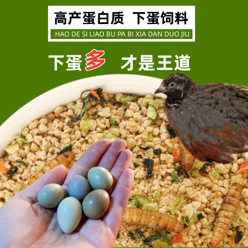 芦丁鹌鹑饲料粮食育大小卢丁鸡开口粮宠物吃营养专用产蛋食物蔬菜