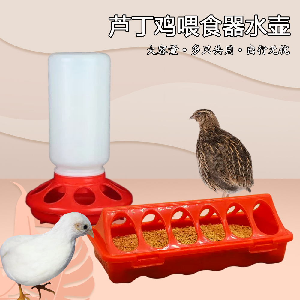 小鸡自动投食器吃食器芦丁鸡喂食器水壶喂水饮水器鸽子鹌鹑饲料用