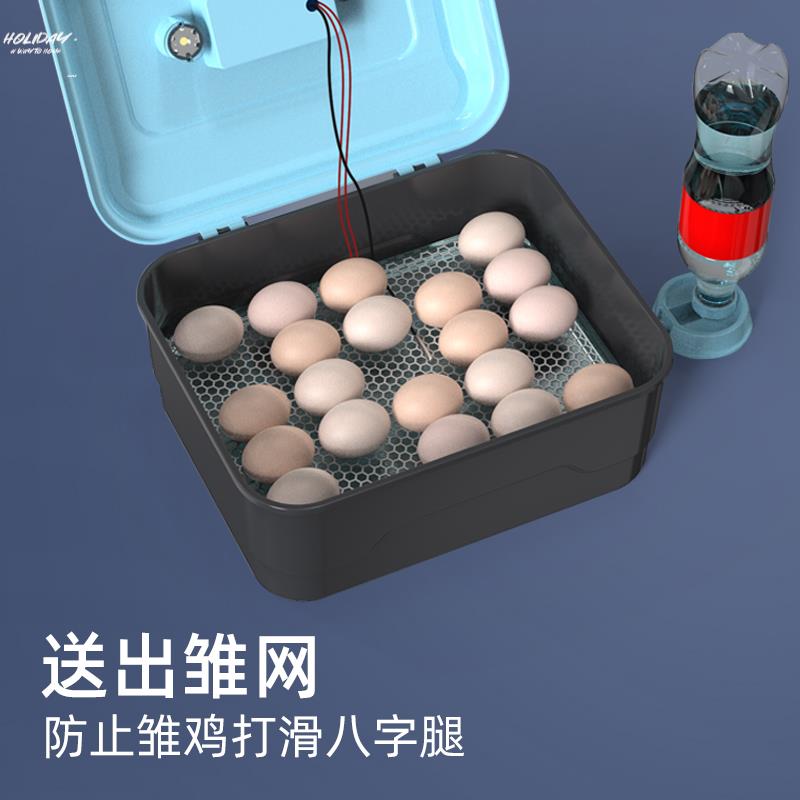 孵小鸡的机器家用鸡蛋鸭蛋水床孵化器鹦鹉鹌鹑鸽子芦丁鸡苗孵蛋机