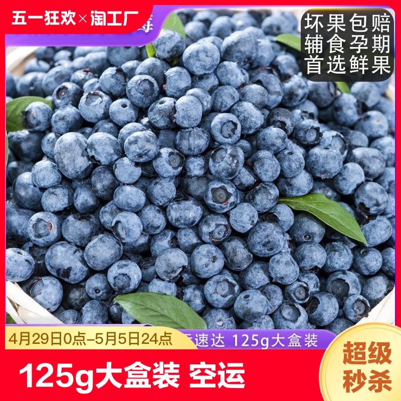 125g单盒云南高山野生小蓝莓鲜果空运速达当季水果现摘孕妇花香