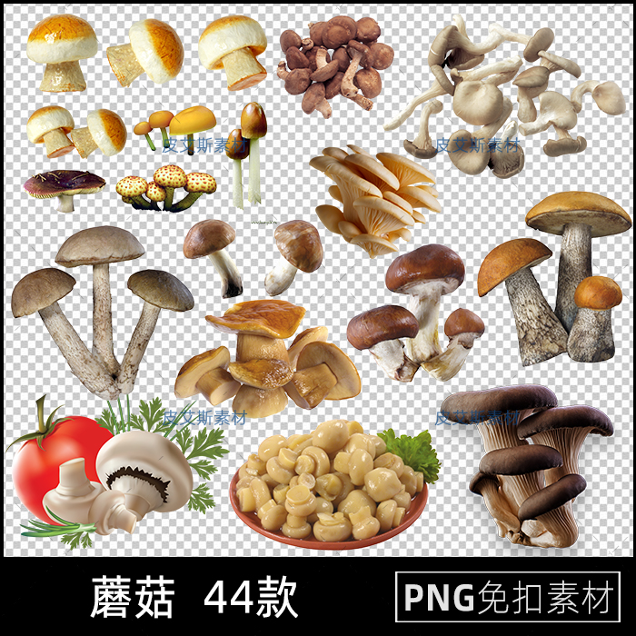 png免抠蘑菇香菇菌类蔬菜海报图片透明底美食海报插图PS设计素材