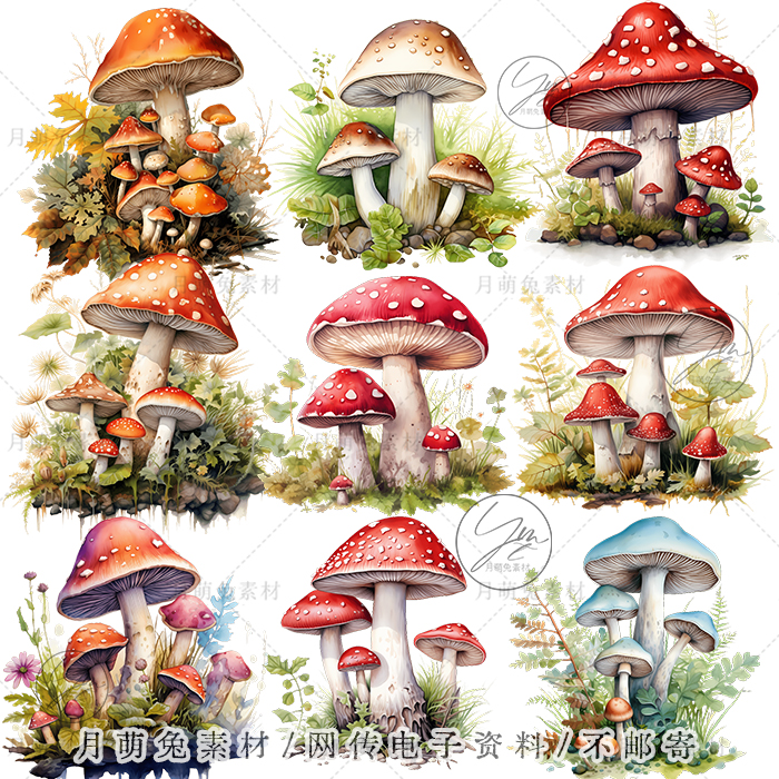 手绘水彩童话世界蘑菇屋插画海报装饰剪贴画手账png设计素材