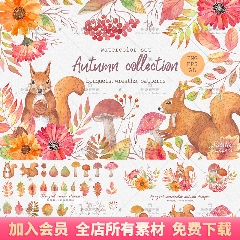 手绘水彩秋季森系松鼠蘑菇树叶花朵贺卡海报装饰PNG免抠设计素材