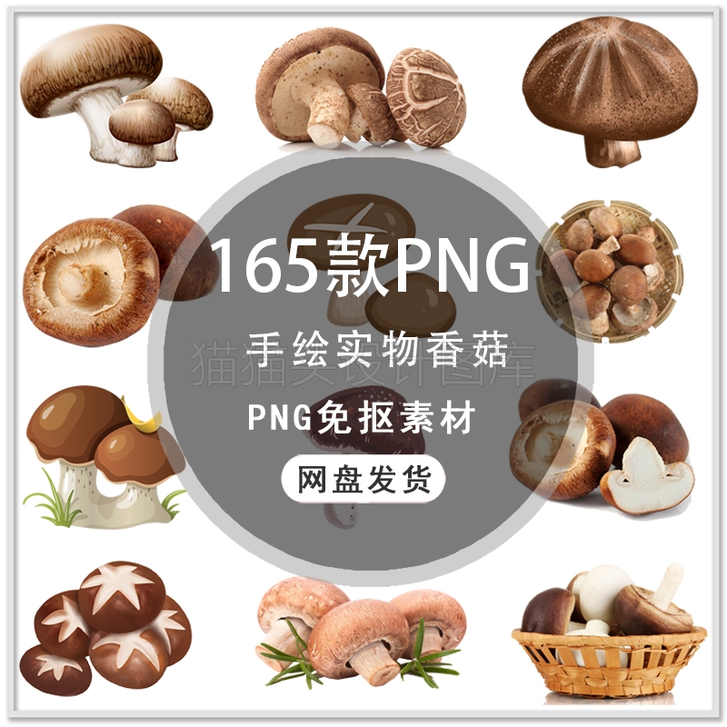 手绘蘑菇香菇菌类实物蔬菜蘑菇香菇蔬菜海报图片PNG设计素材