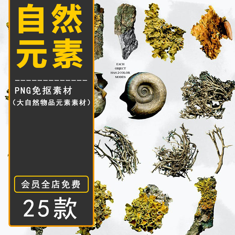 PS大自然绿色植物贝壳树枝木头菌类蘑菇PNG免抠图片海报设计素材