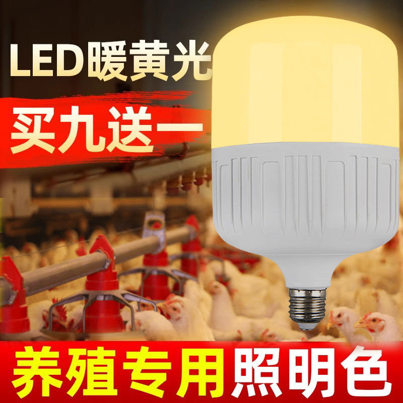 led灯泡暖光灯节能灯超亮球泡灯螺口家用养殖场鸡舍黄光灯笼红色