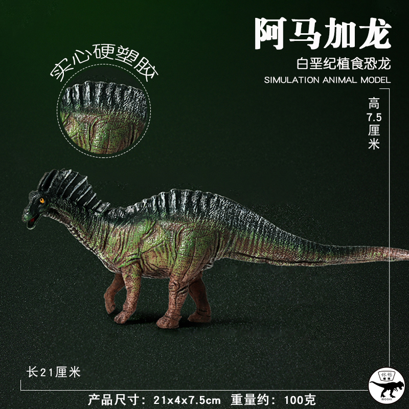 白垩纪蜥脚类叉龙科恐龙阿马加龙模型儿童科教认知玩具仿真动物