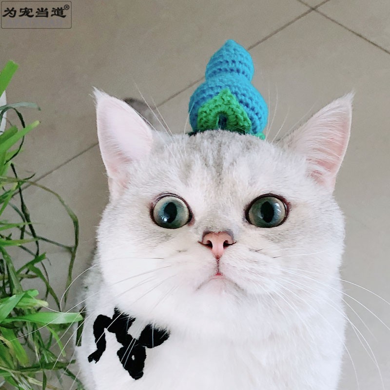 葫芦娃猫咪头饰宠物帽子多色手工编织猫帽子变装帽小型犬头饰饰品