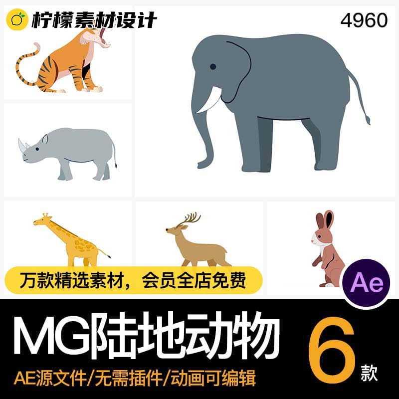 MG卡通动画动态陆地大象老虎长颈鹿麋鹿动物AE格式源文件模板素材