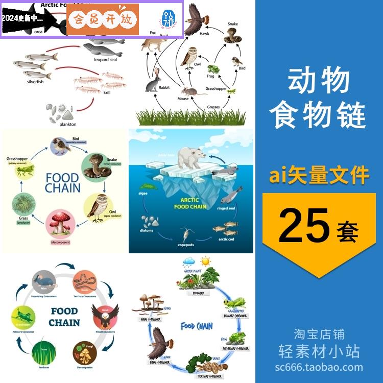 卡通手绘陆地海洋动物食物链生态系统平衡科普插画ai矢量设计素材