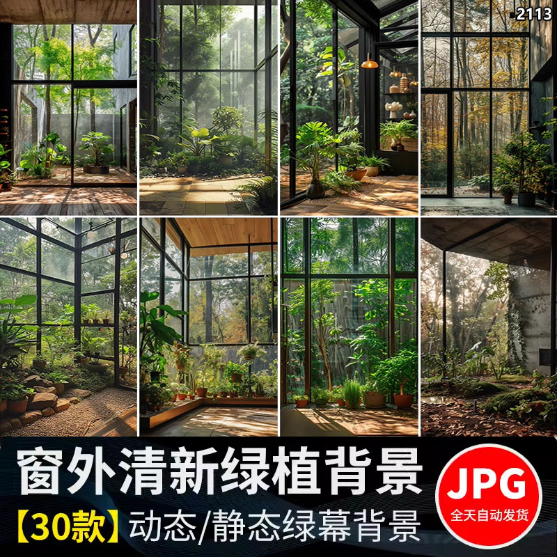 竖屏窗外绿植物树林室内绿色清新虚拟动态视频绿幕直播间背景图片