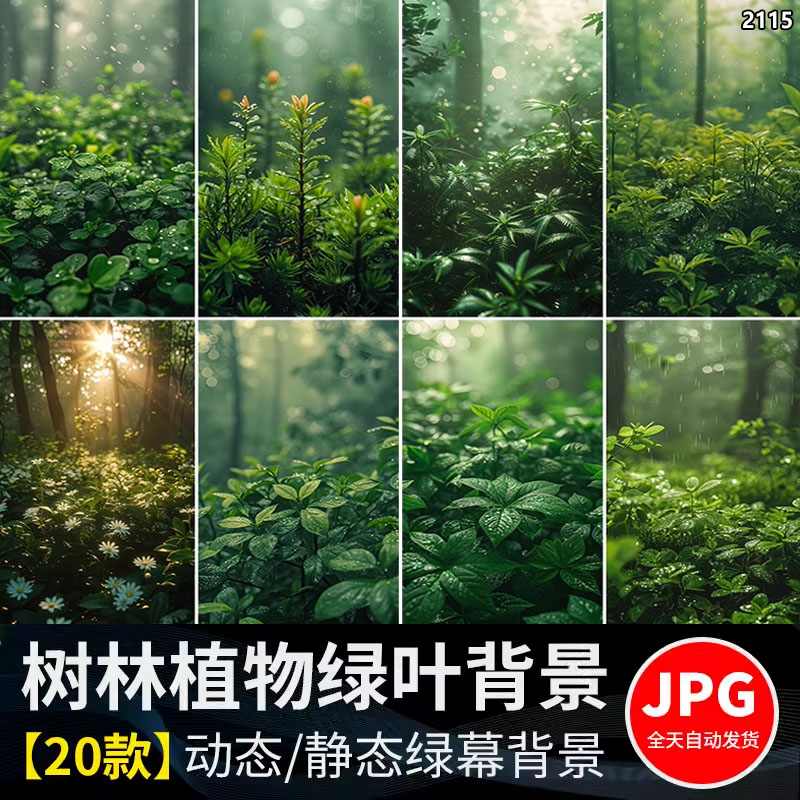 竖屏版春天唯美绿色植物清新丛林树叶子绿叶动态视频背景图片素材