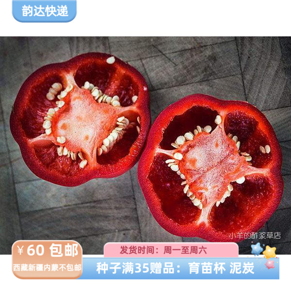 【种子】传家宝种子 辣椒 阿什郡多香果 水果甜椒 5粒