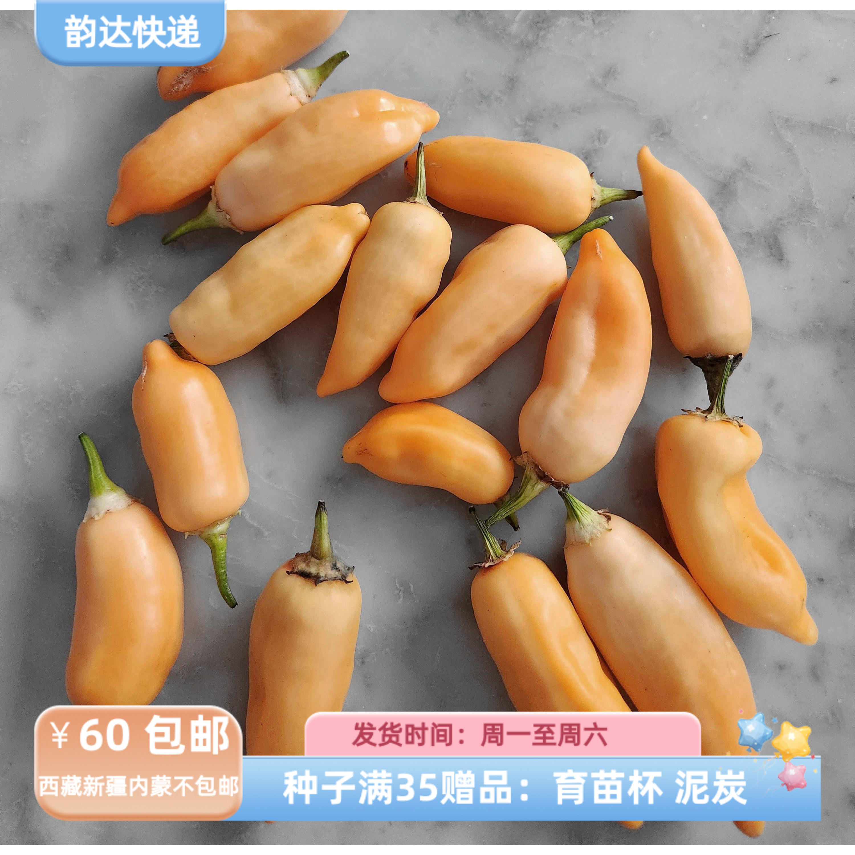 【种子】可食用 蔬菜种子  有辣味的 辣椒 糖桃   5粒