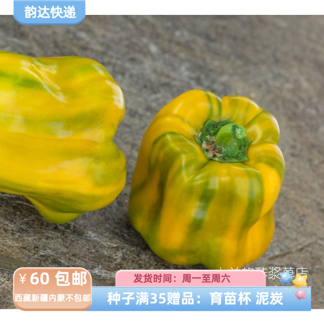 【种子】甜辣椒 黄色怪物 5粒