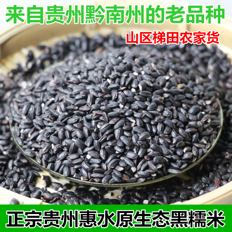 贵州正宗惠水黑糯米高原纯黑糯米农家老品种高杆紫全黑香糯米500g