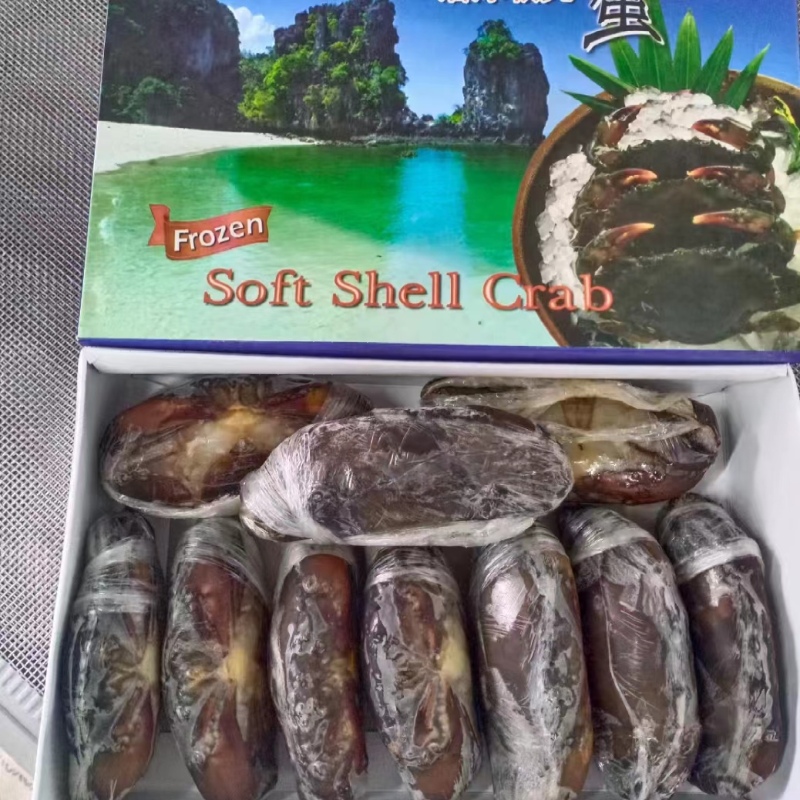软壳蟹 海鲜食用酒店料理缅甸800克净重8-10只活冻水产品顺丰包邮