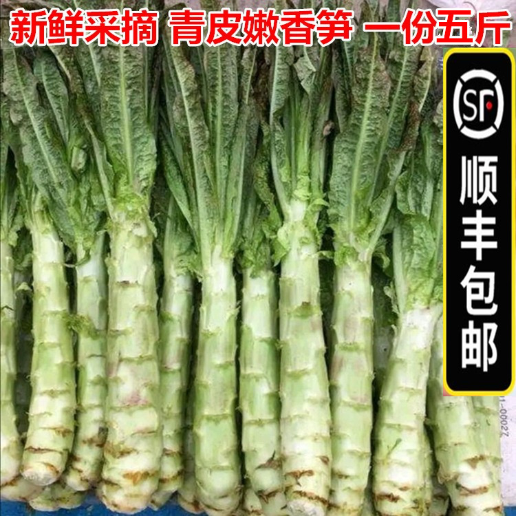 【顺丰包邮】5斤新鲜莴笋青皮笋莴苣脆嫩莴笋尖红叶香笋农家蔬菜