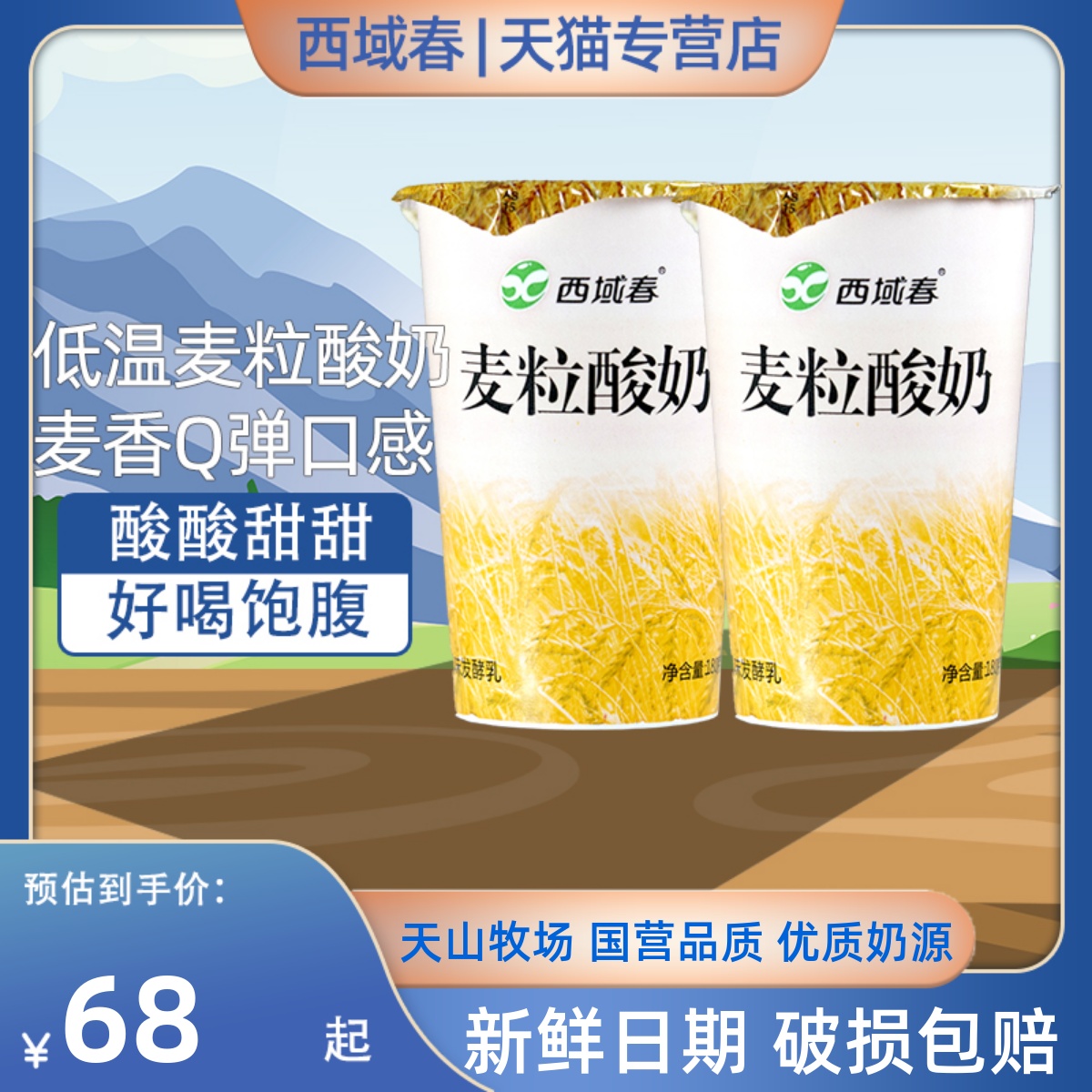 新疆早餐搭档西域春麦粒酸奶180克*12杯整箱营养代餐燕麦谷物酸奶