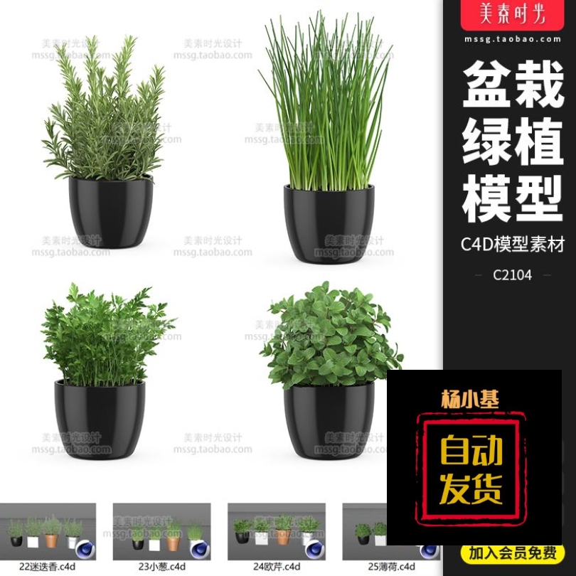 绿植盆栽迷迭香小葱欧芹薄荷植物C4D模型FBX OBJ文件3d素材C2104