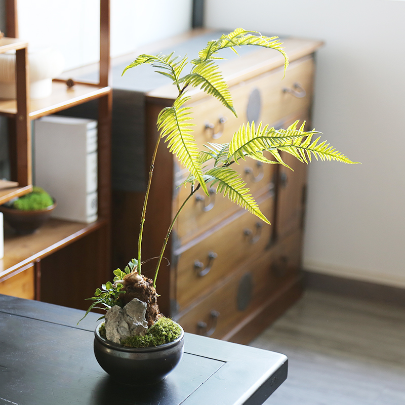 中式侘寂风金丝猴头蕨类仿真绿植茶室茶桌办公室盆栽植物盆景造景