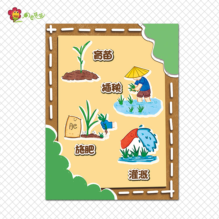 幼儿园水稻生长图自然植物区角环创墙大米种子花结构秋天丰收贴画