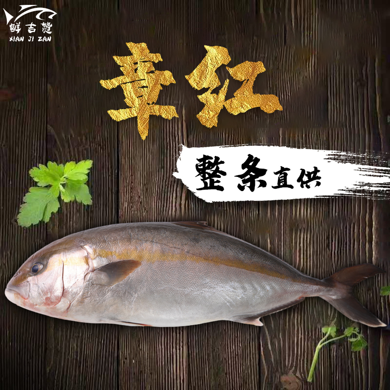 【源头供应】鰤鱼章红鱼生鱼片寿司料理即食刺身一整条200g切片称