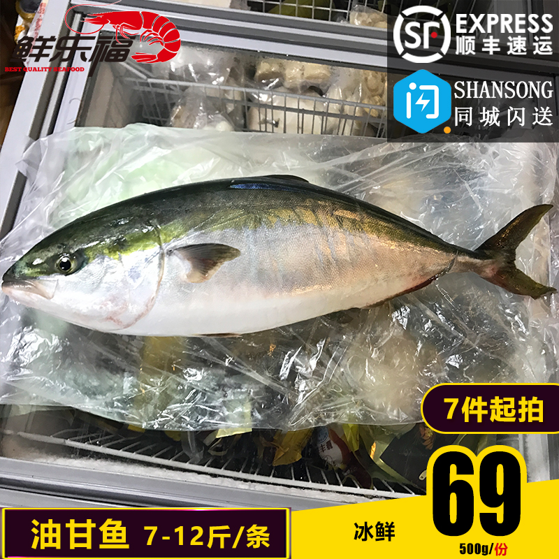 日本进口冰鲜海鲜油甘鱼 章红鱼 青甘鱼 黄狮鱼约9到12斤左右一条