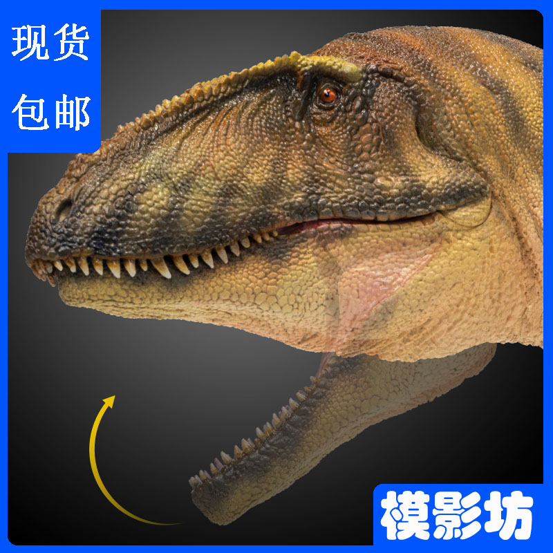 PNSO恐龙大王鲨齿龙成人大孩子玩具模型2021年新品侏罗纪成长陪伴