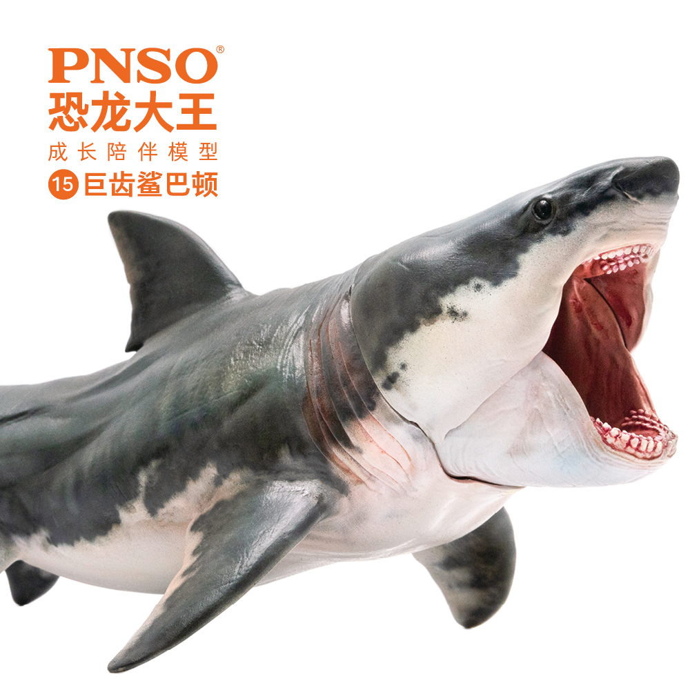 pnso恐龙大王海洋玩具模型成长陪伴史前模型15巨齿鲨嘴可动鲨鱼