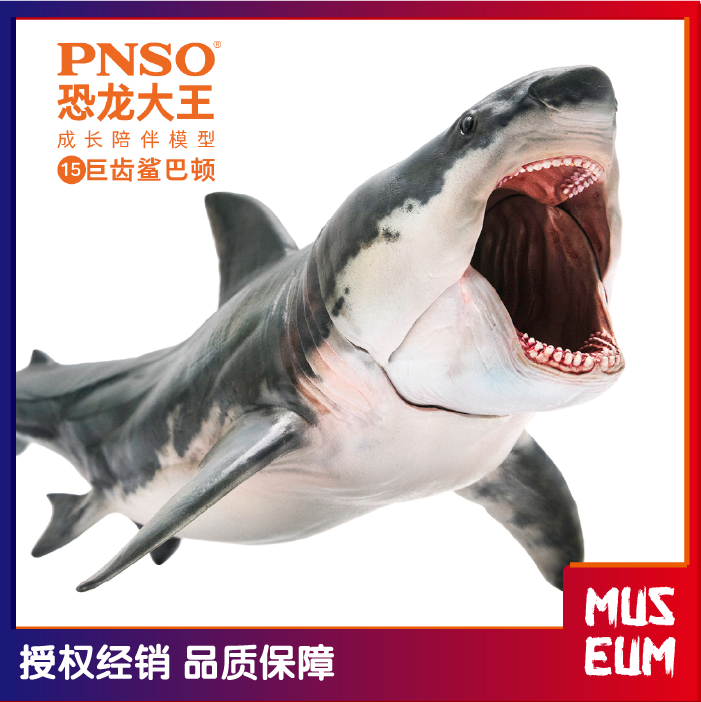 PNSO恐龙大王成长模型巨齿鲨副栉龙小盗龙角龙肿头龙鲨鱼动物玩具
