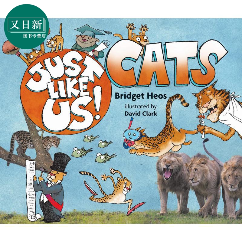 猫科动物的世界 Just Like Us! Cats英文原版 儿童科普绘本 动物知识百科图画书 有趣真实的科学读本童书儿童读物 又日新