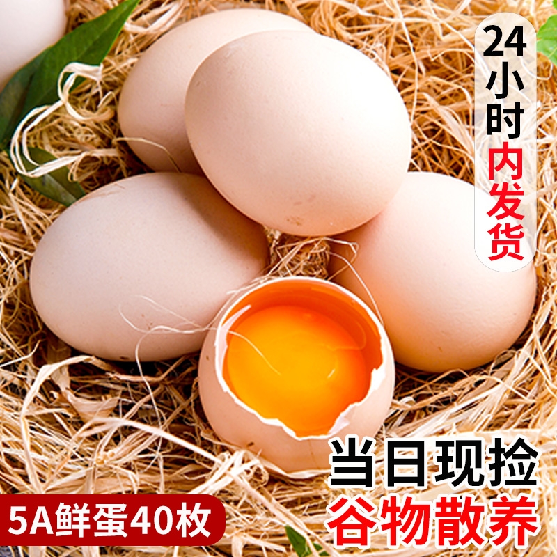 新鲜谷饲土鸡蛋40枚正宗散养草鸡蛋农村柴鸡蛋农家整箱鲜鸡蛋玉米