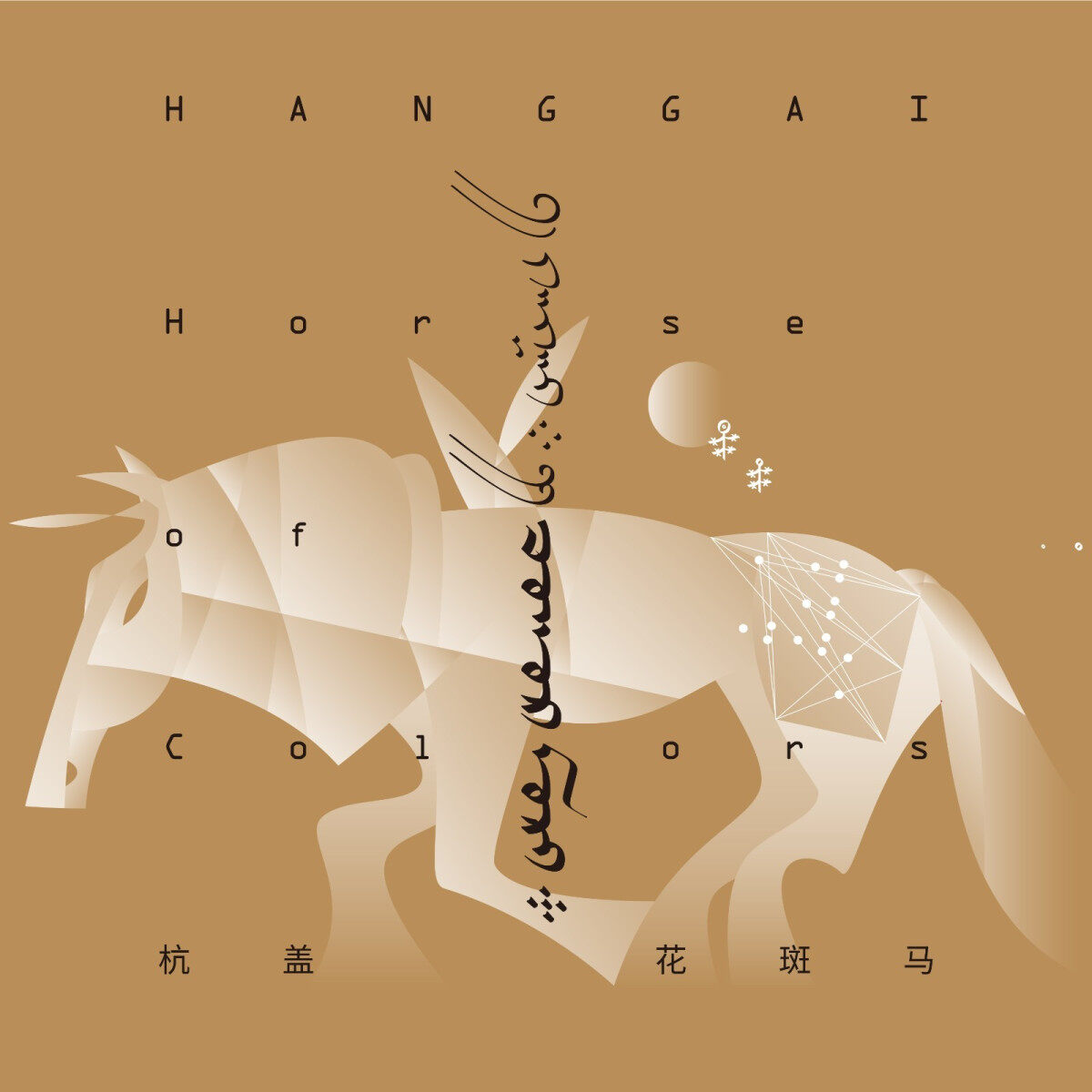 正版唱片 杭盖乐队专辑 花斑马 蒙古民族摇滚音乐 CD碟片