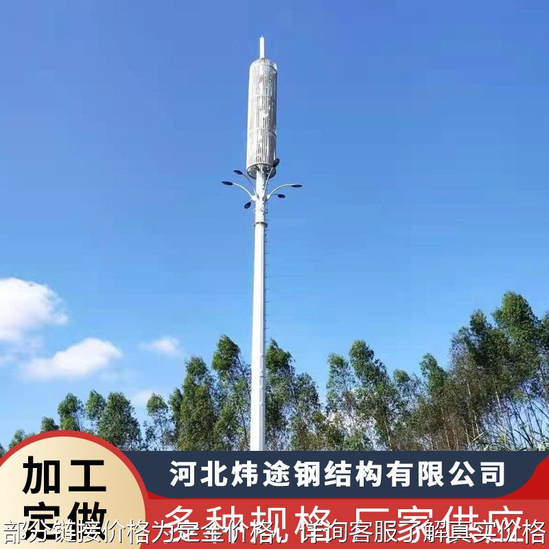 河北厂家生产单管塔 单管避雷塔 信号传输塔 单管通信测风塔