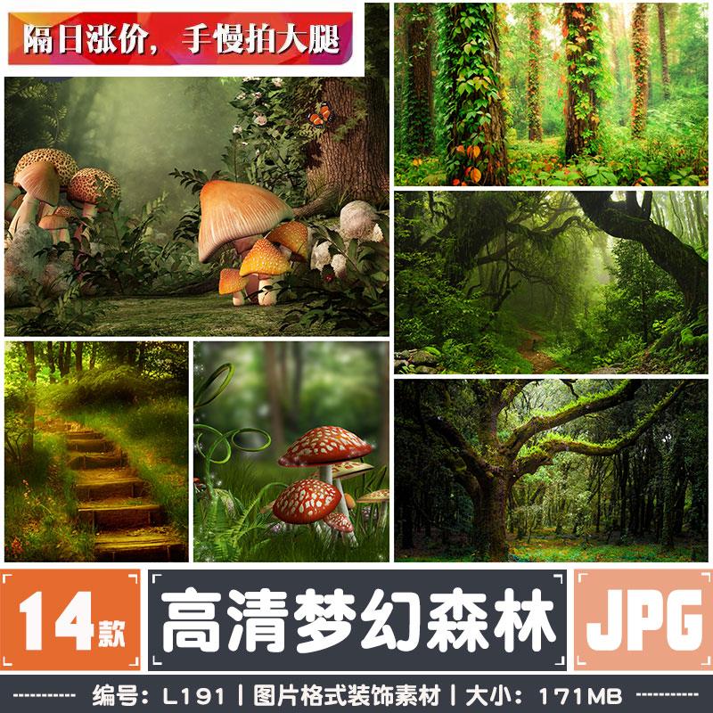 高清梦幻森林神秘绿植参天大树大尺寸JPG高清素材PPT背景图装饰