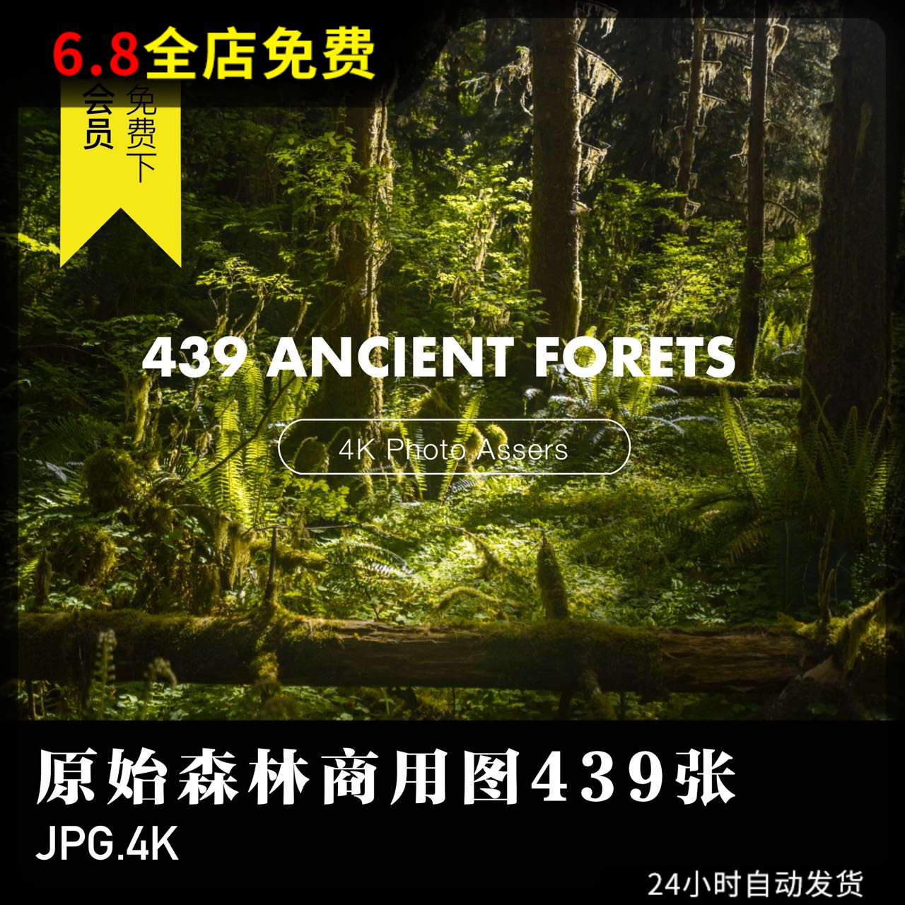 商用图片原始森林沼泽亚热带场景水塘实拍背景4K高清PPT海报素材