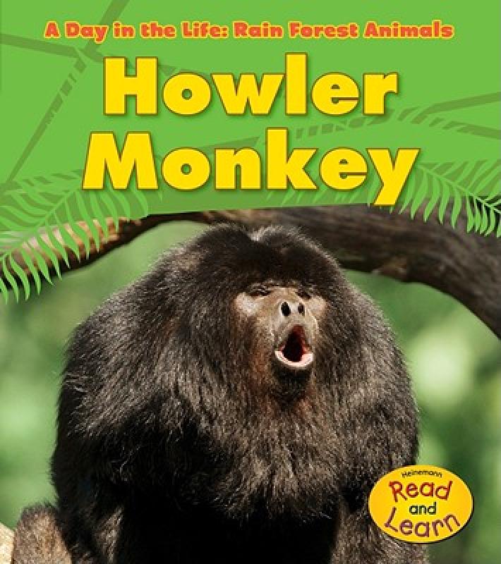 【预售】Howler Monkey