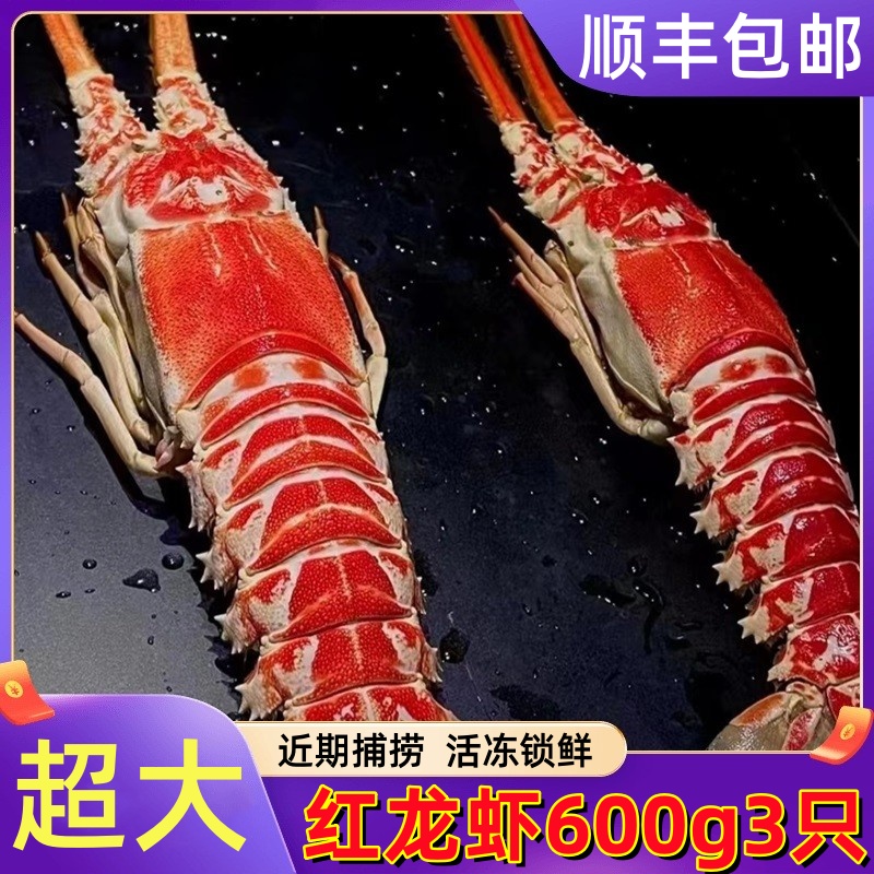 红龙虾鲜活超大新鲜角脊龙虾海鲜水产非小青龙虾波斯顿即食生吃虾
