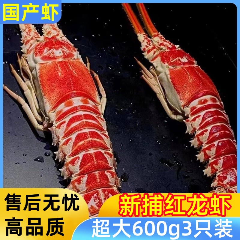 红龙虾鲜活冷冻超大新鲜海捕角脊龙虾非小青龙澳洲波斯顿龙虾顺丰