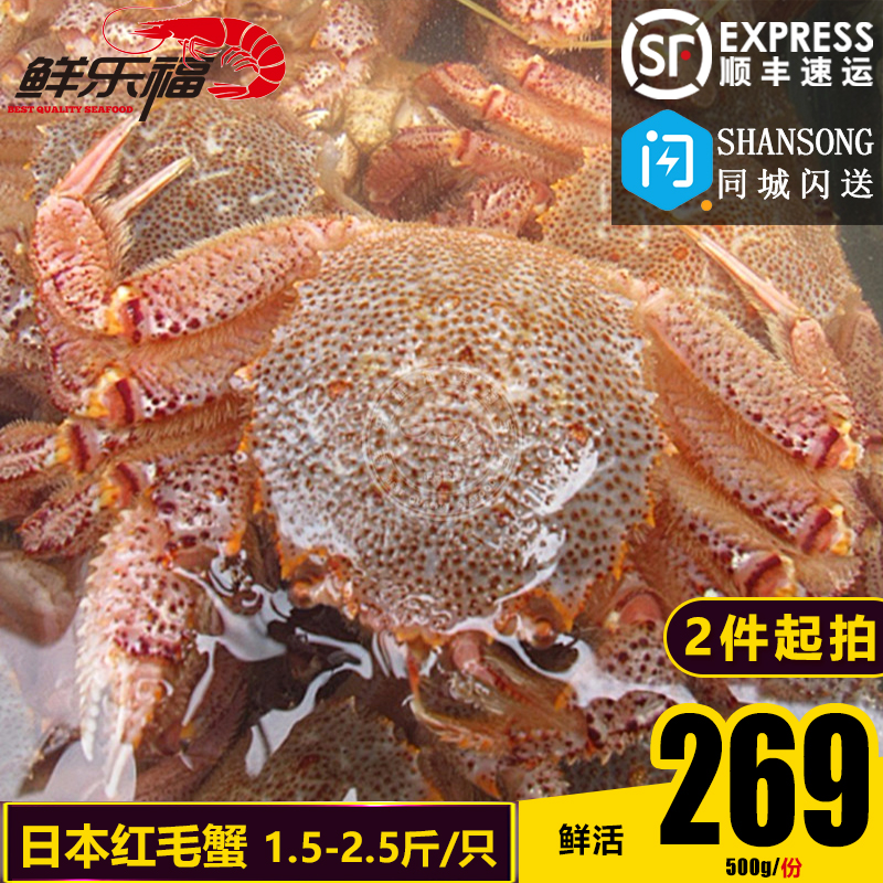 日本北海道 进口海鲜 鲜活红毛蟹750到1000克一只限广州发货 停货
