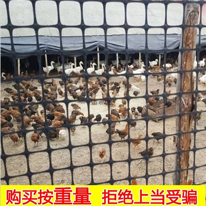 塑料网小围栏网网防护养鸡网鸡围栏￥议价格隔离家孔拦养殖网栅栏