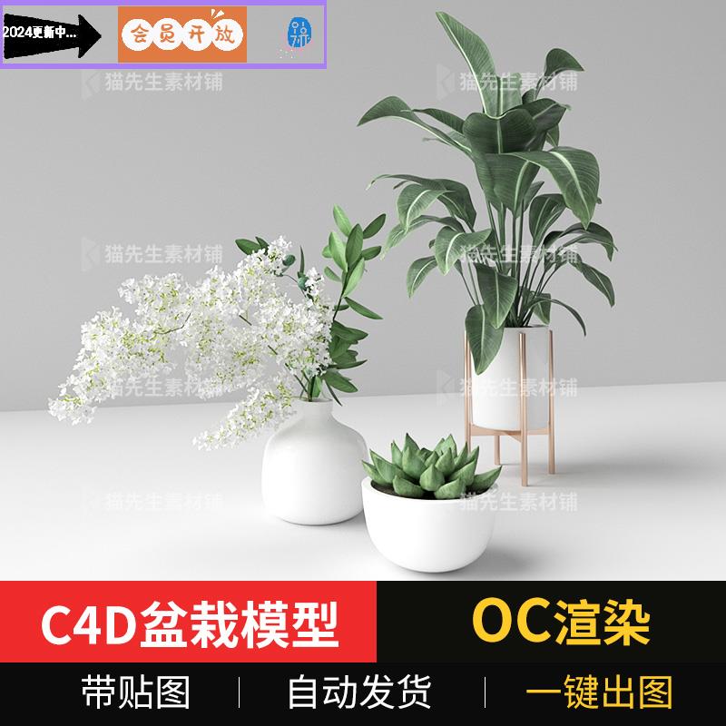 C4D室内植物盆栽模型oc渲染带材质贴图花卉装饰绿植多肉