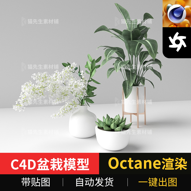 C4D室内植物盆栽模型oc渲染带材质贴图花卉装饰绿植多肉