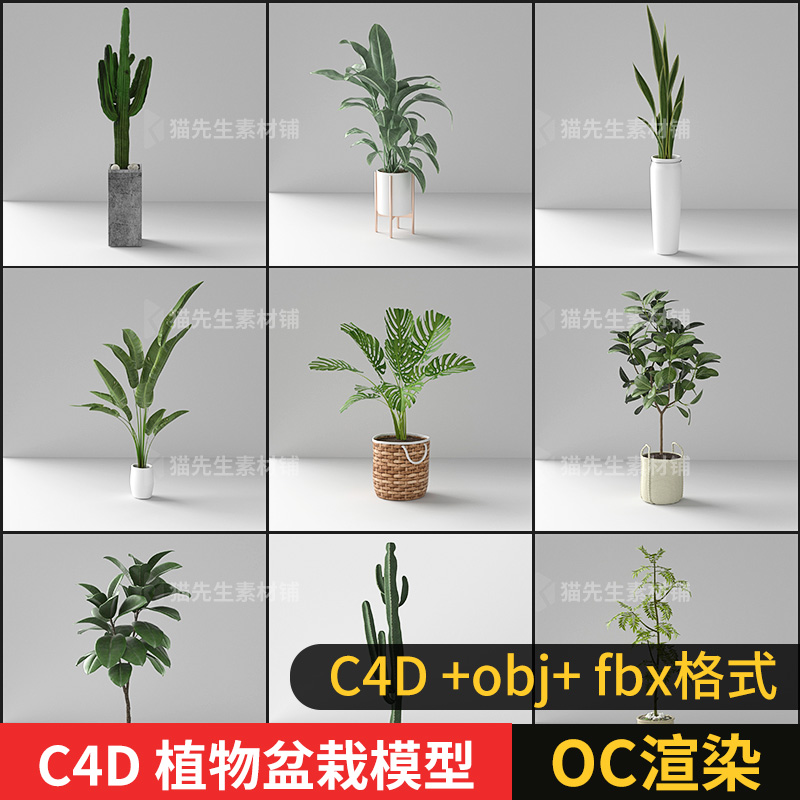 C4D obj fbx 室内植物盆栽模型oc渲染带材质贴图3d花卉装饰盆栽