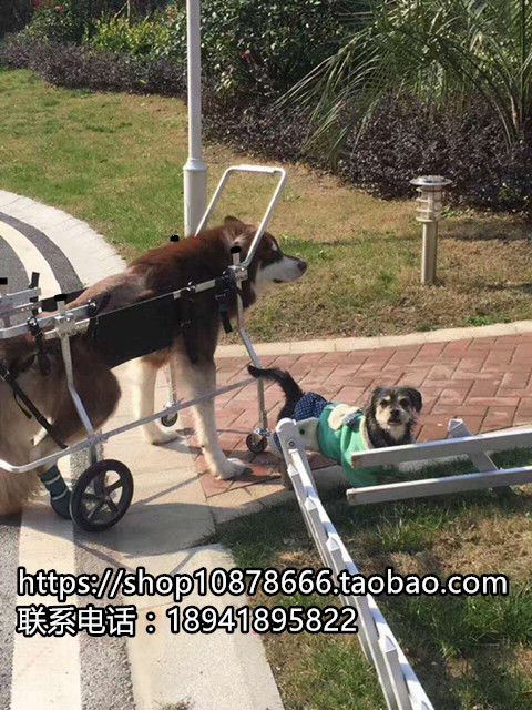 宠物轮椅/四肢瘫痪狗轮椅大型犬轮椅/宠物代步车残疾狗车宠物推车